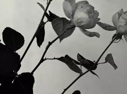 Objects of inspiration Image