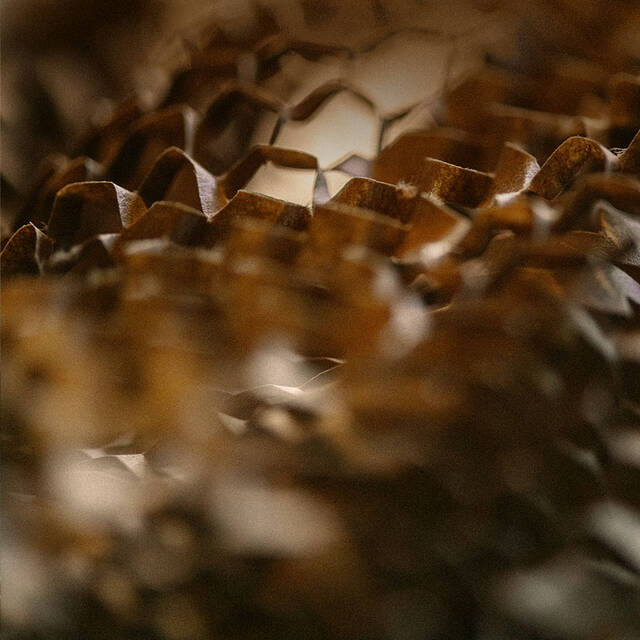 Aesop Category Top Banner