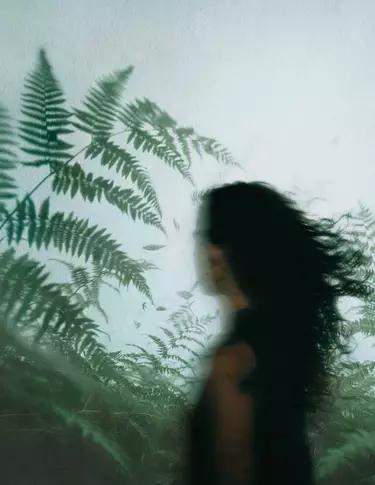Blurred profile of a person with dark hair among green ferns, set against misted glass and cool diffused natural light.