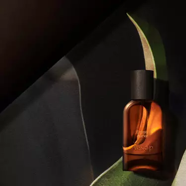 Single amber Aesop bottle lit by a warm glow, framed by curved leaf-like forms in dark green, cream and black tones.