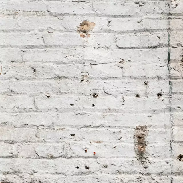 Skin Type Image