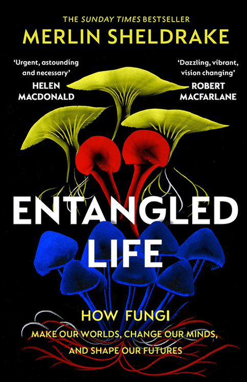 Entangled Life Image