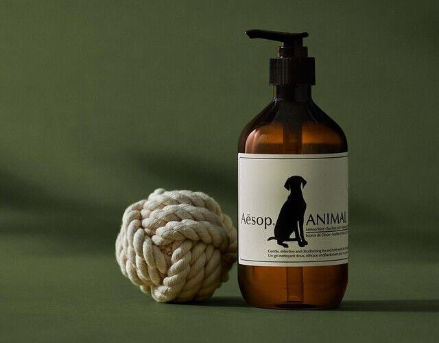 Bathroom Deodorisers & Pets