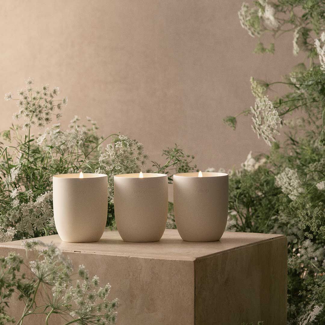 Affection in abundance