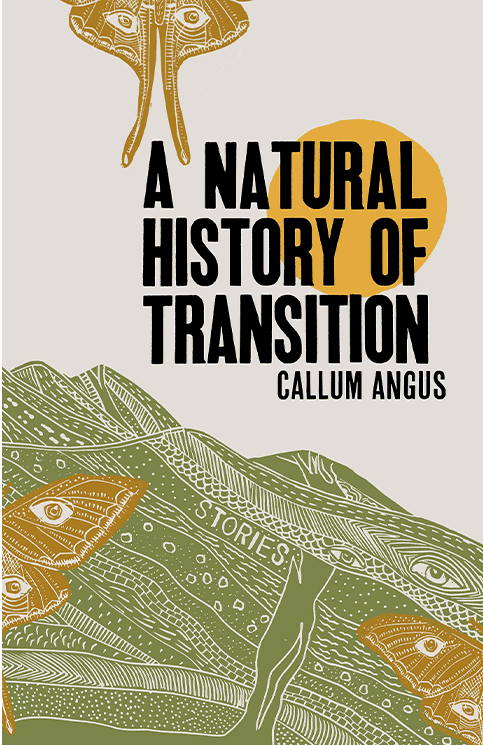 A Natural History of Transition Image