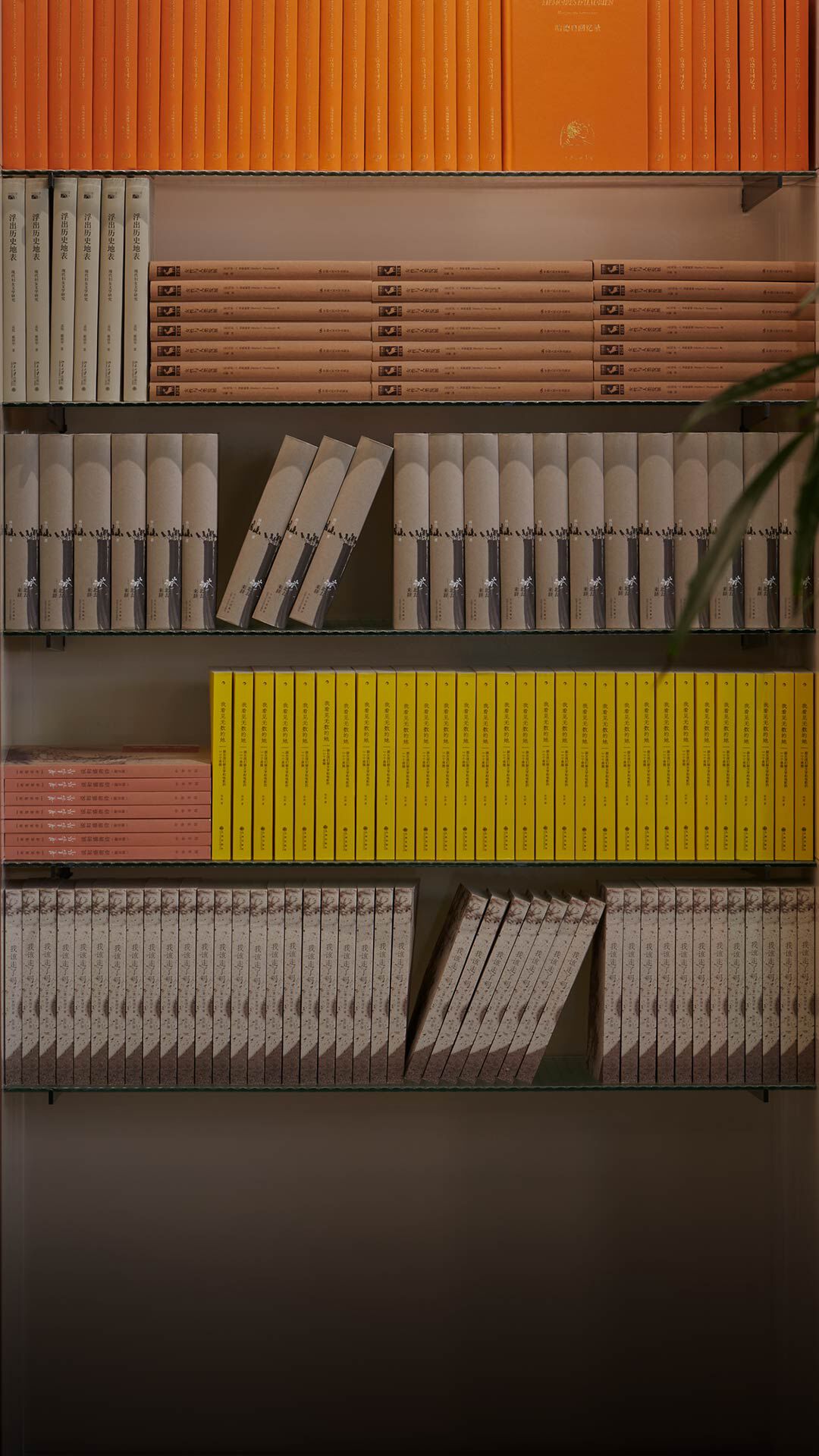 Blurred person walking past warm wooden shelves filled with yellow, orange, and red books.