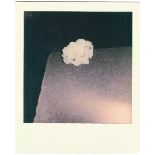 Ingredient Image