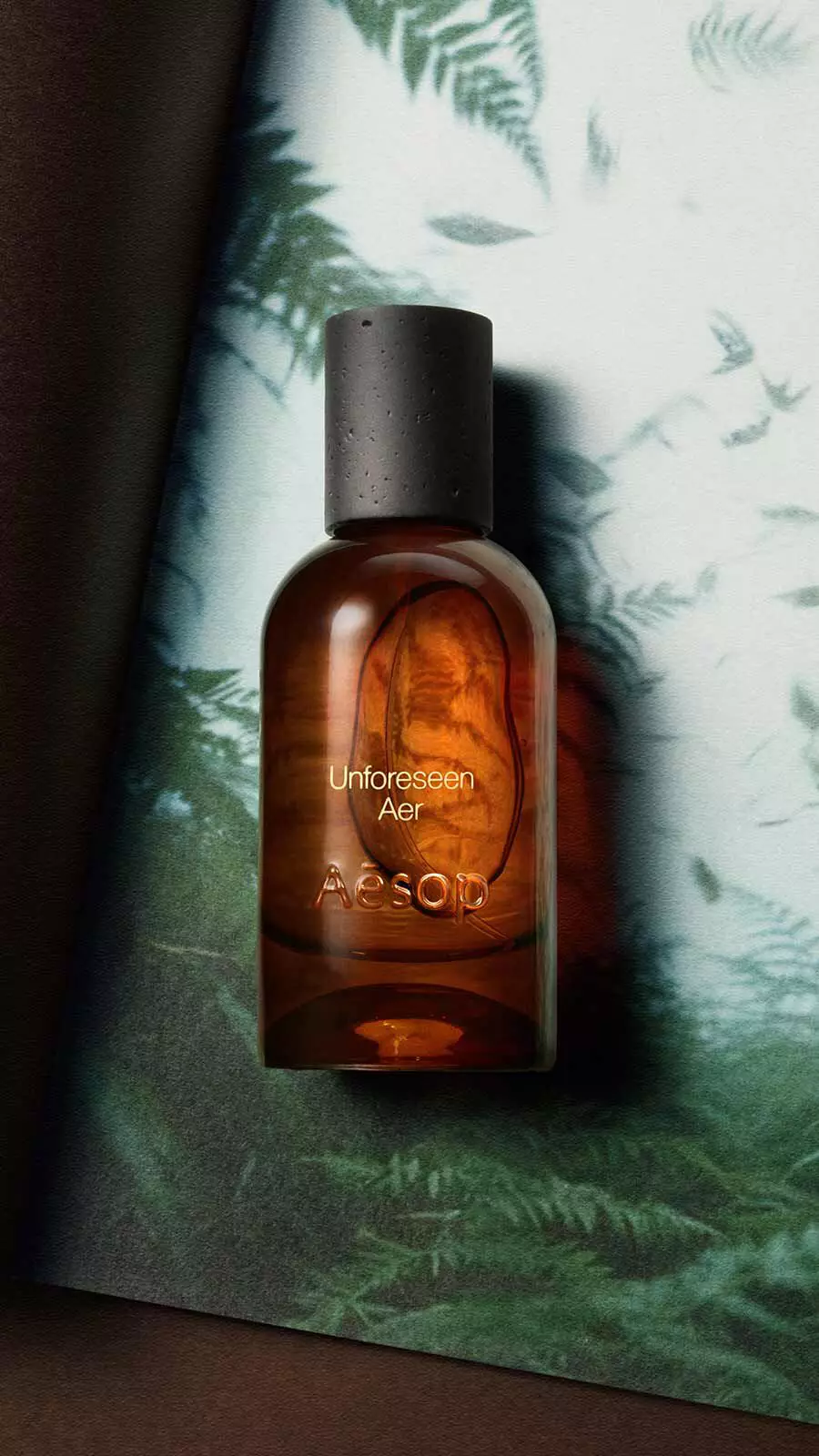 Aesop Unforeseen, Aer Eau de Parfum bottle with black cap against a dark green fern backdrop with soft mottled light.