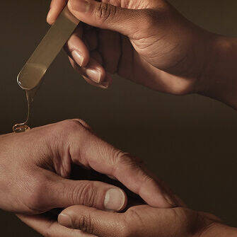 Seasonal Suggestions