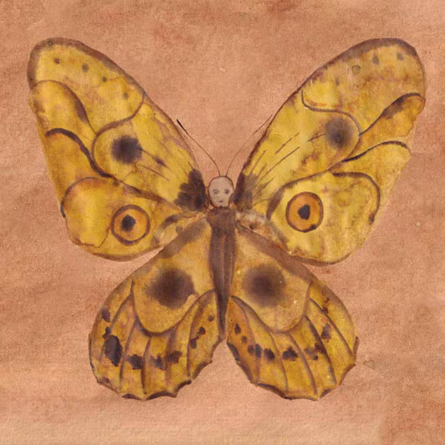 Future Fables Image
