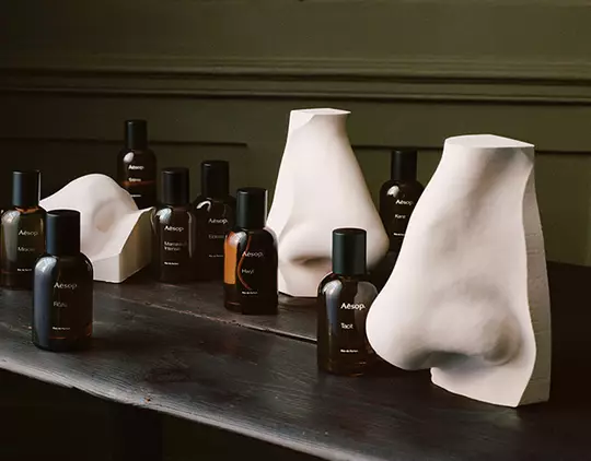 All Fragrance