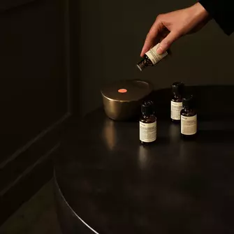 Aromas to stimulate and inspire
