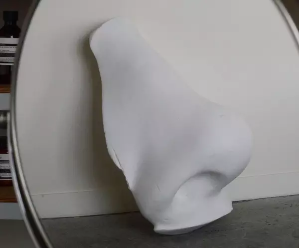 Nose Image
