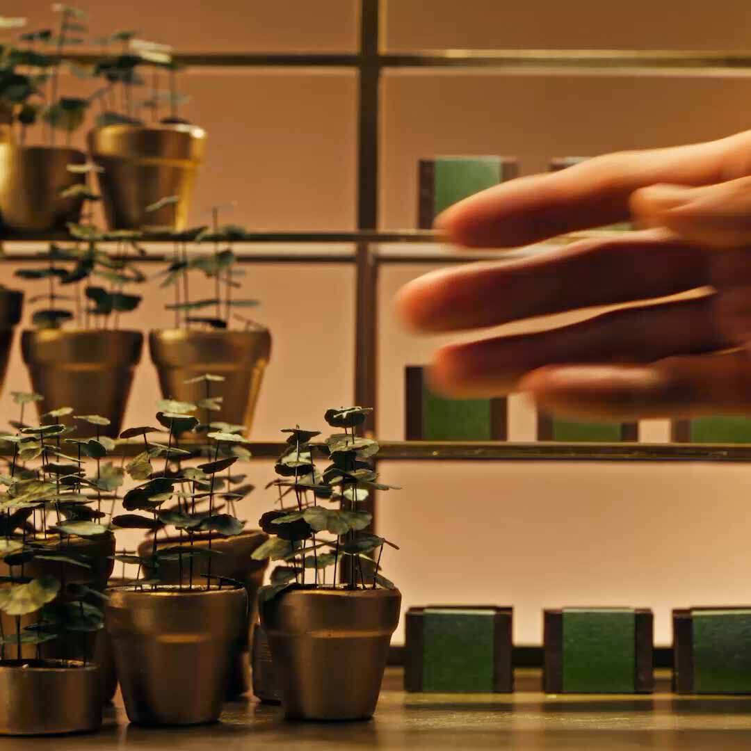 Cover Video Seasonal Kit