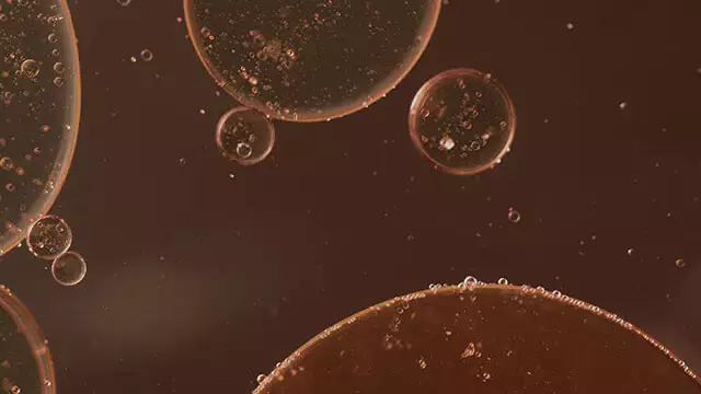 Skin Type Image