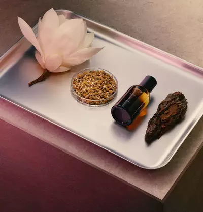 Aesop How To