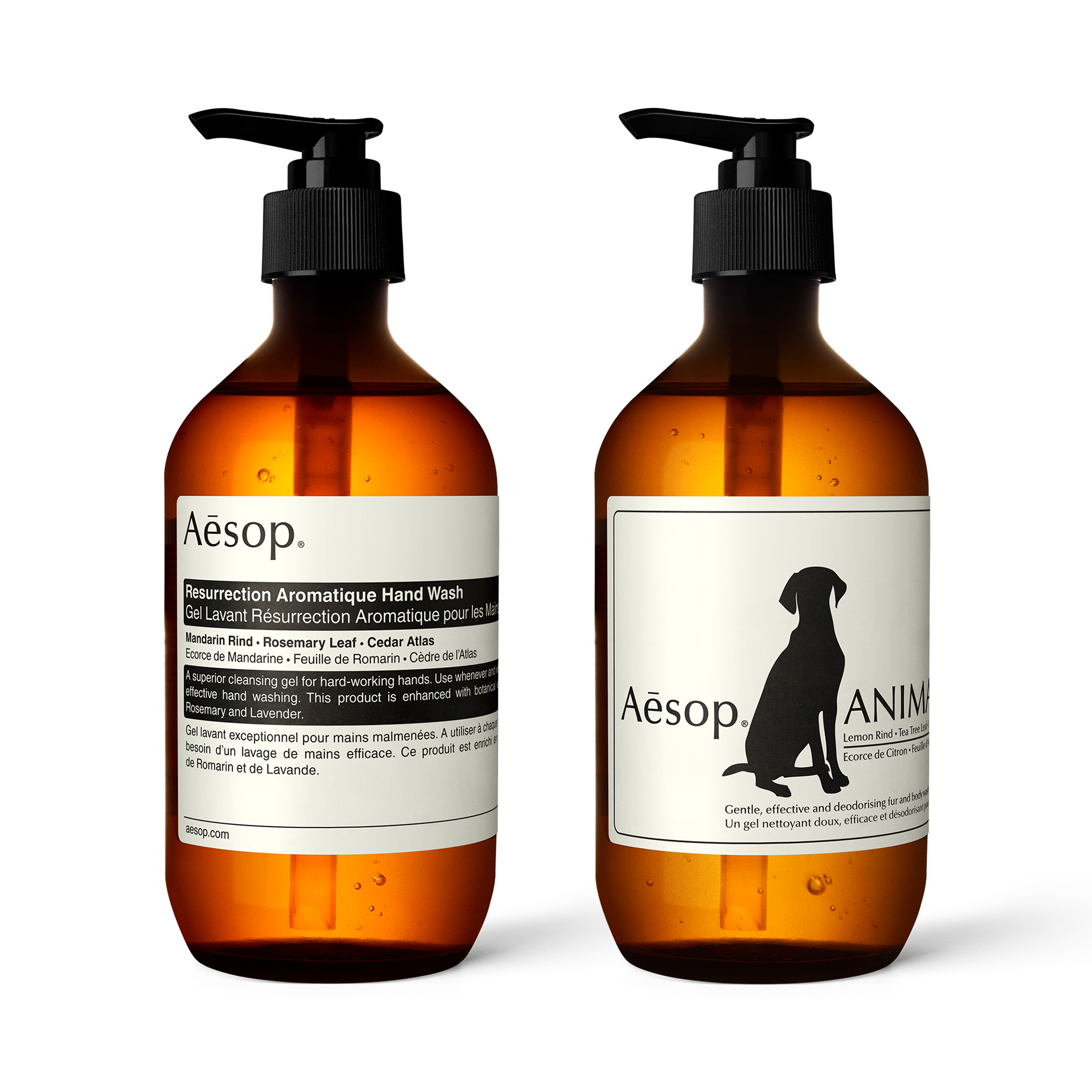 Gift Bundles | Curated Sets for Every Occasion | Aesop Canada