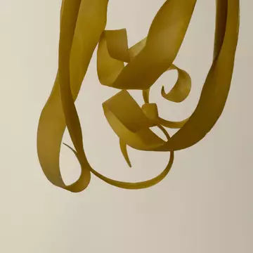 Formes botaniques d'ylang ylang en ruban suspendues sur fond pale.