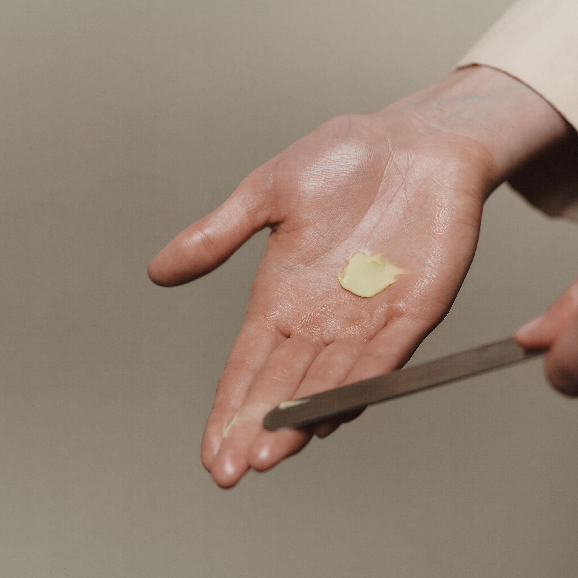 Creme Hydratante a la Noix de Camelia pour le Visage