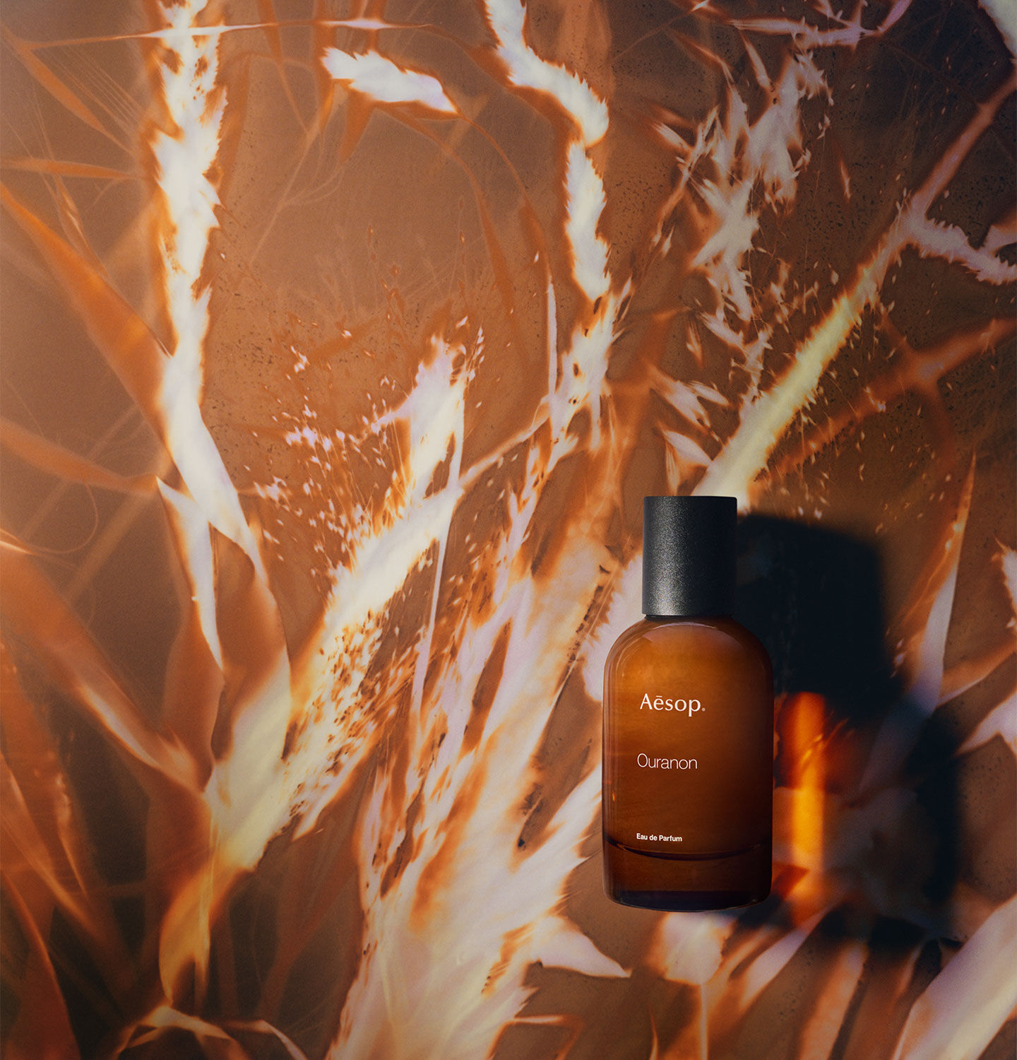 Ouranon Eau de Parfum | Woody, Herbal & Amber | Aesop Canada