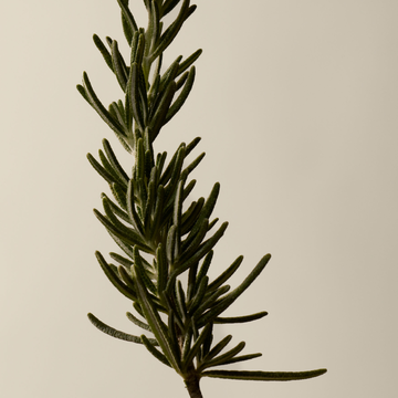 Baume Aromatique Resurrection pour les Mains