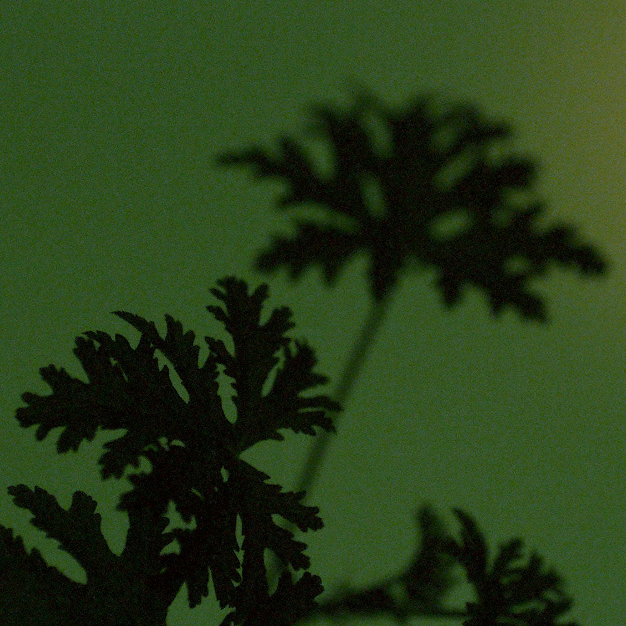 Geranium Leaf Duet