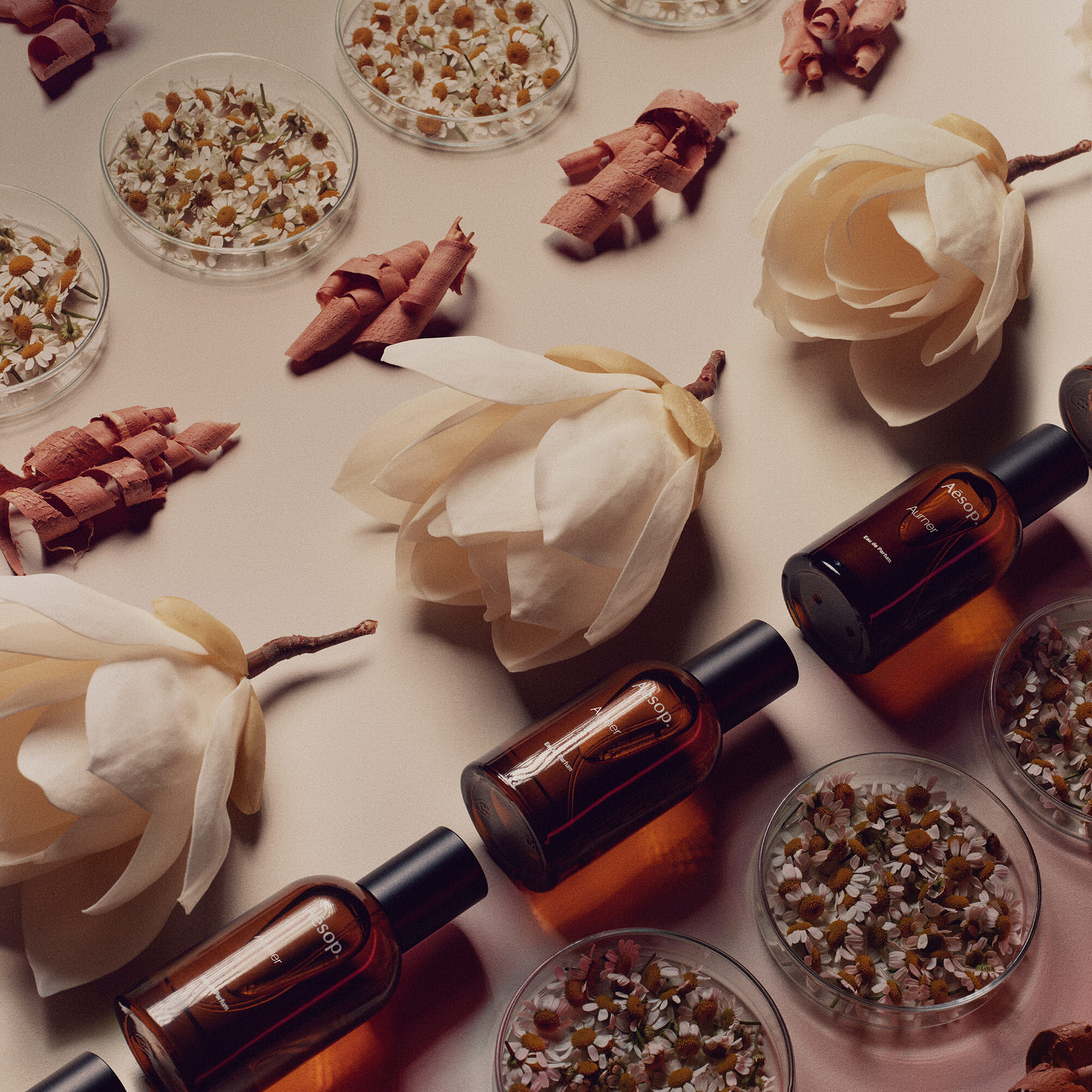 Aurner Eau de Parfum