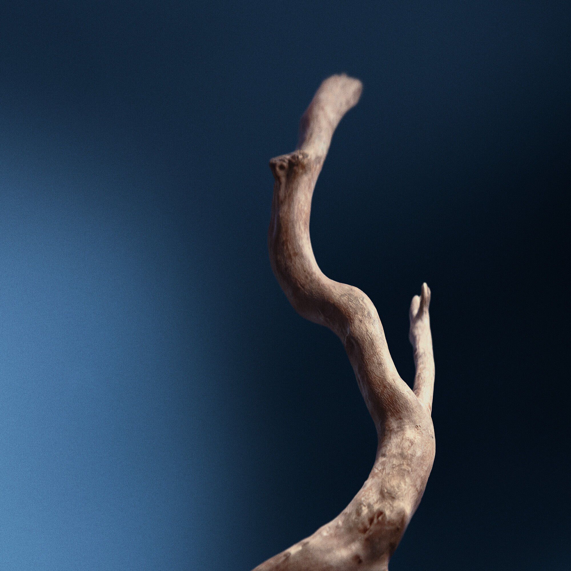 Resolute Concentre pour le Visage