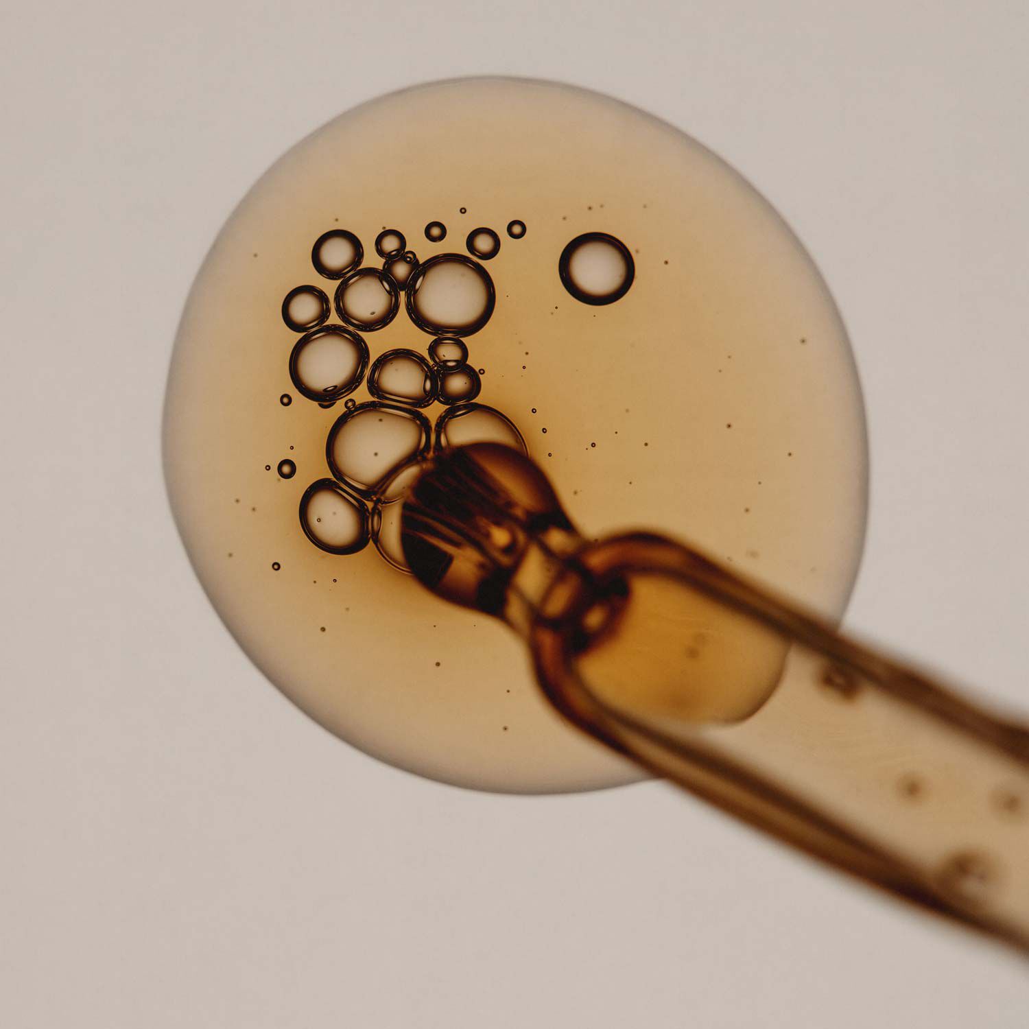 Serum Anti-Oxydant Intense a la Graine de Persil