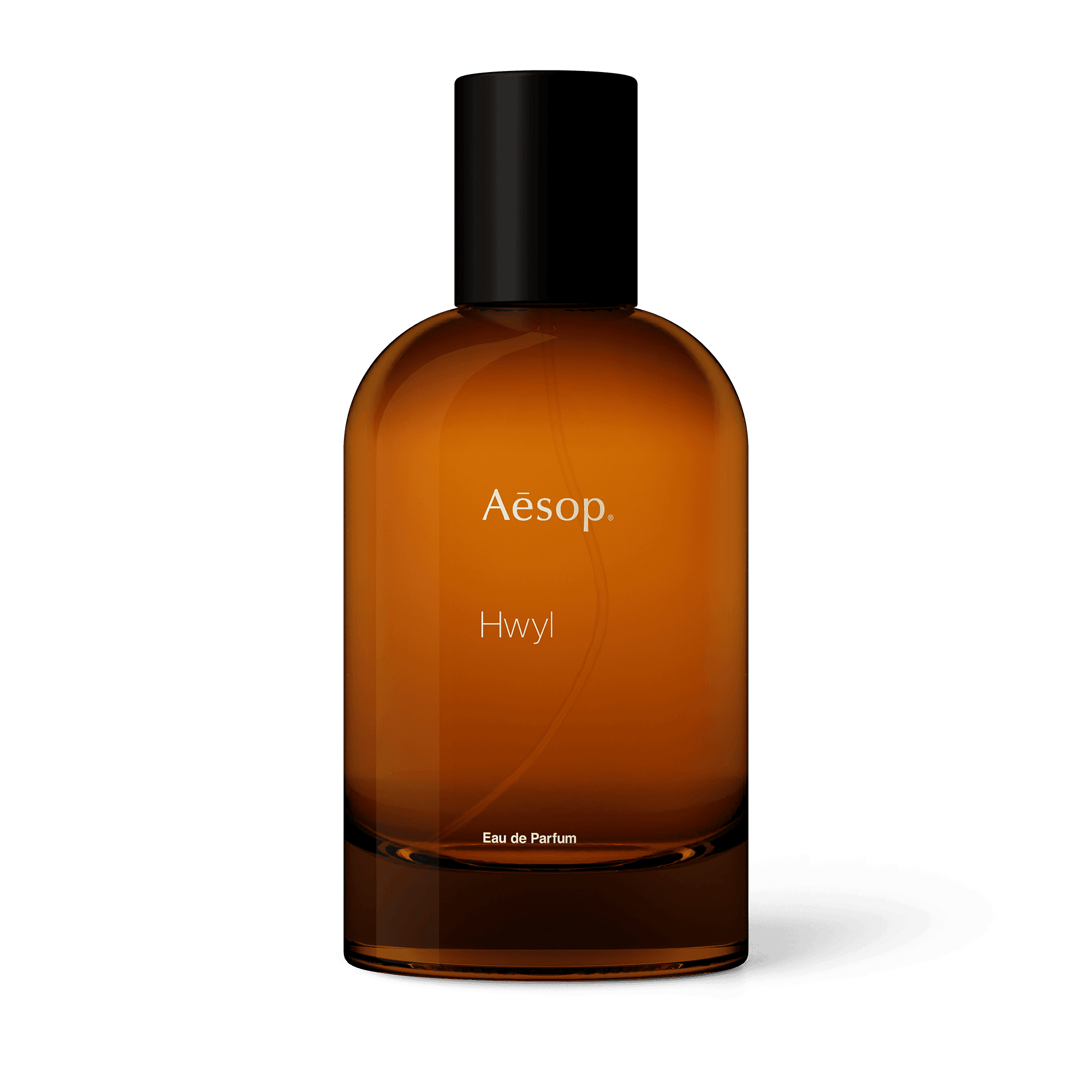 Hwyl Eau de Parfum | Smoky Forest-Inspired Fragrance | Aesop