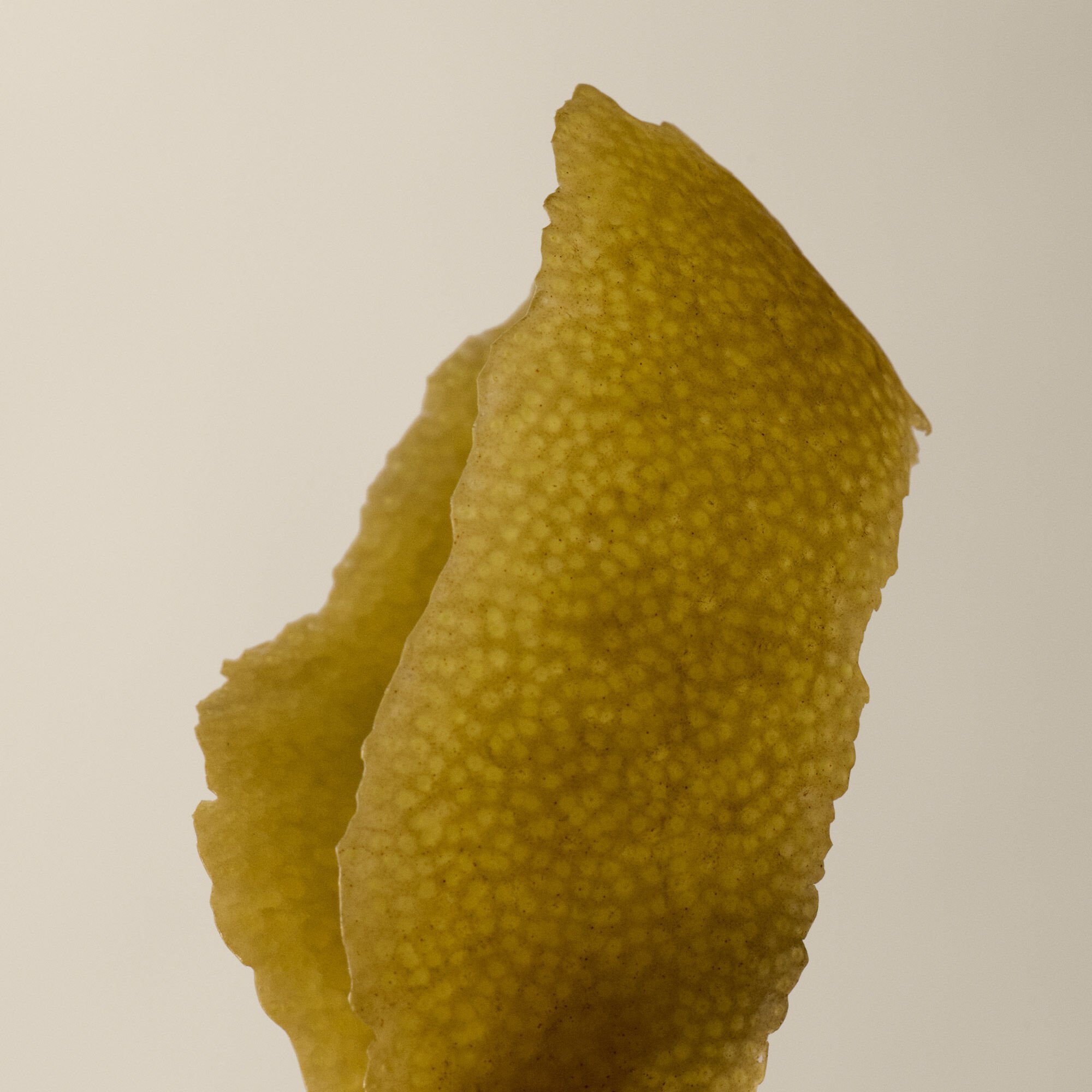 Gel Nettoyant pour le Corps au Panache d'Agrumes