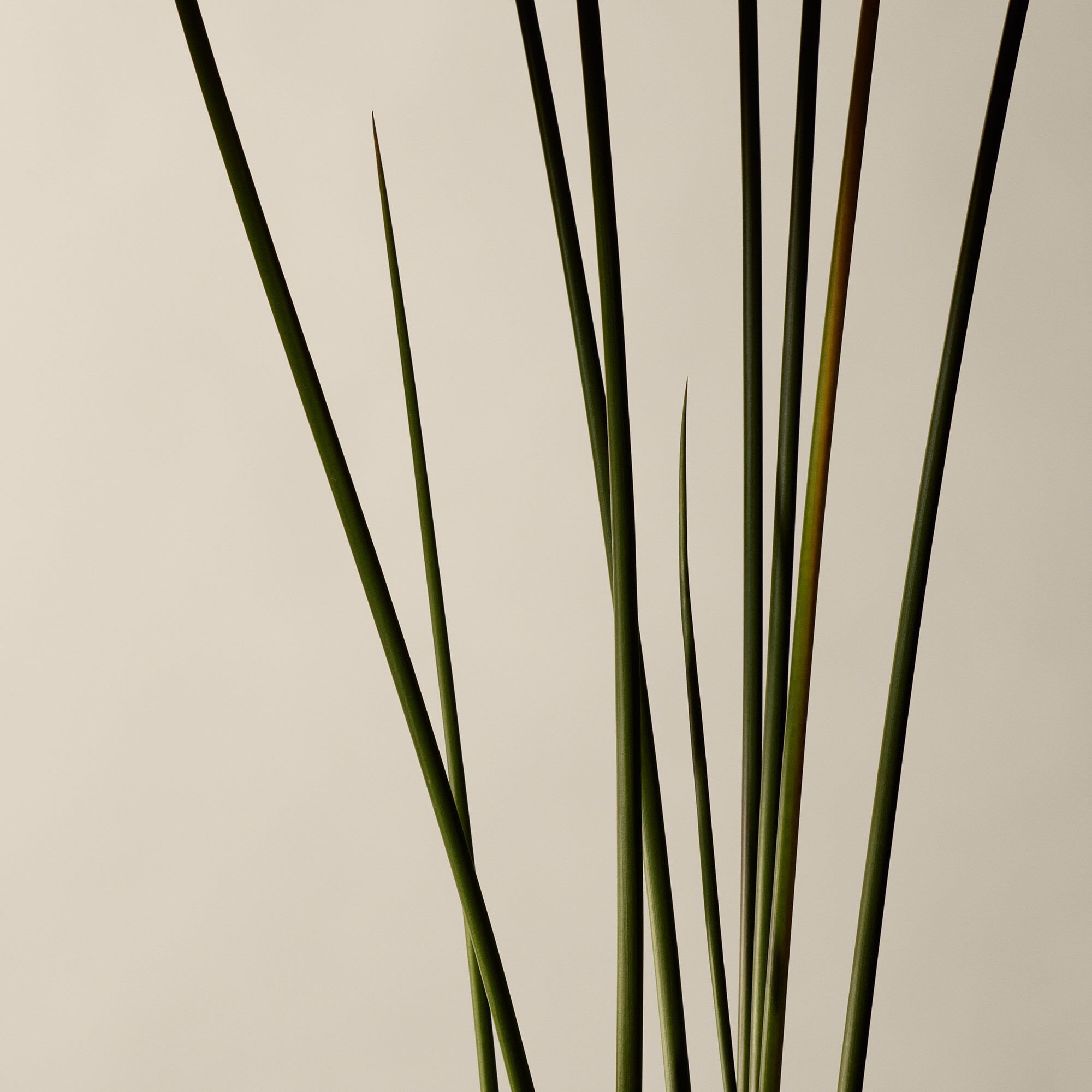 Encens Aromatique Kagerou