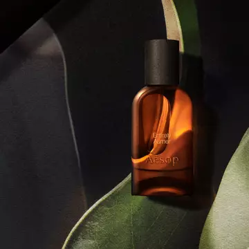 Aesop Entirely Aurner bottle among broad leaves and curved dark shapes.