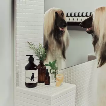 Animal